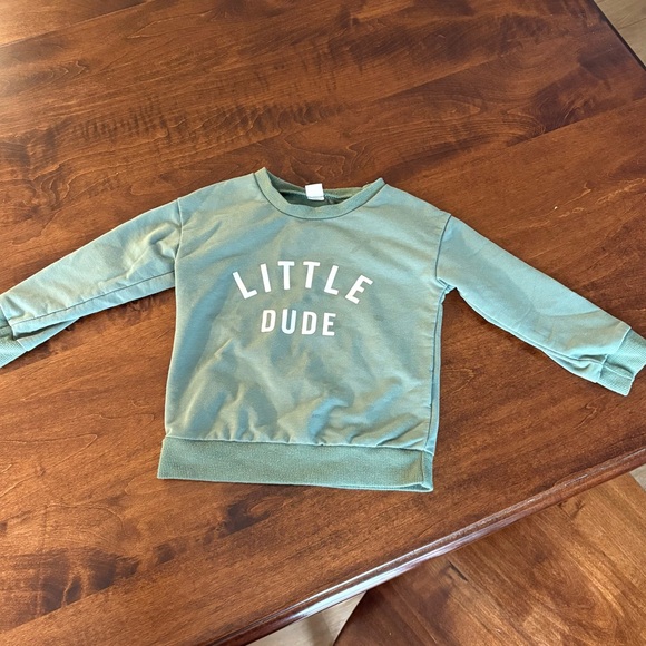 Other - Little Dude Toddler Green Sweatshirt